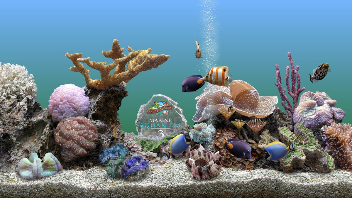 The 25-Year Legacy of Digital Aquariums Inspired by Windows 95