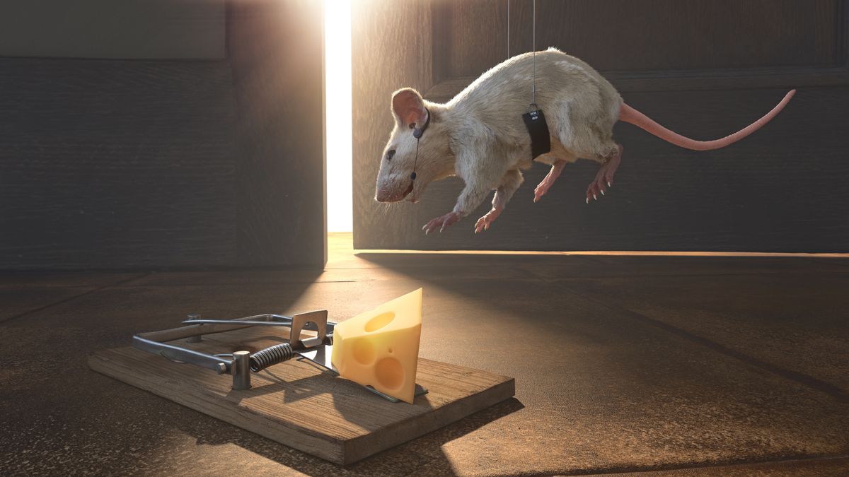 AI Missteps: Google’s Misleading Cheese Claim in Super Bowl Ad