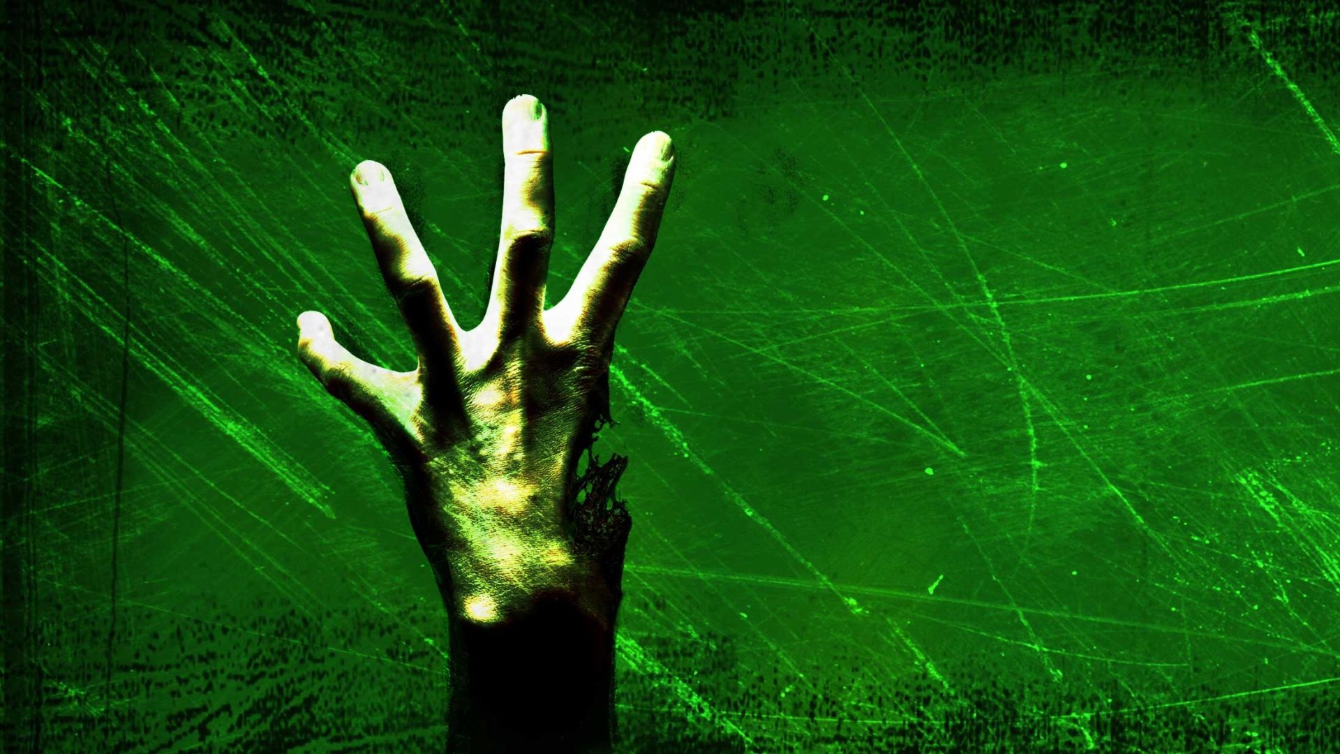 4chan Makes a Comeback After Significant Cyber Attack: An Irreplaceable Community