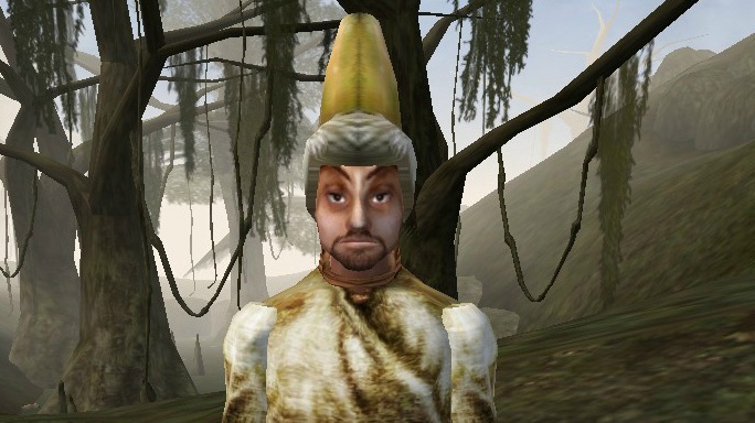 Experience Morrowind: Why You Should Shift Focus from Oblivion Remastered