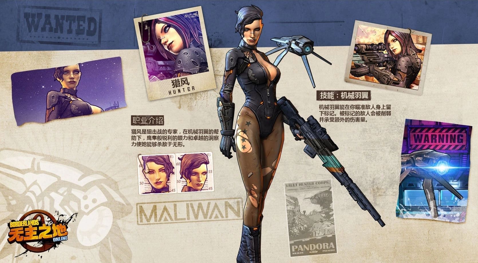 Reviving the Forgotten Borderlands Online MMO
