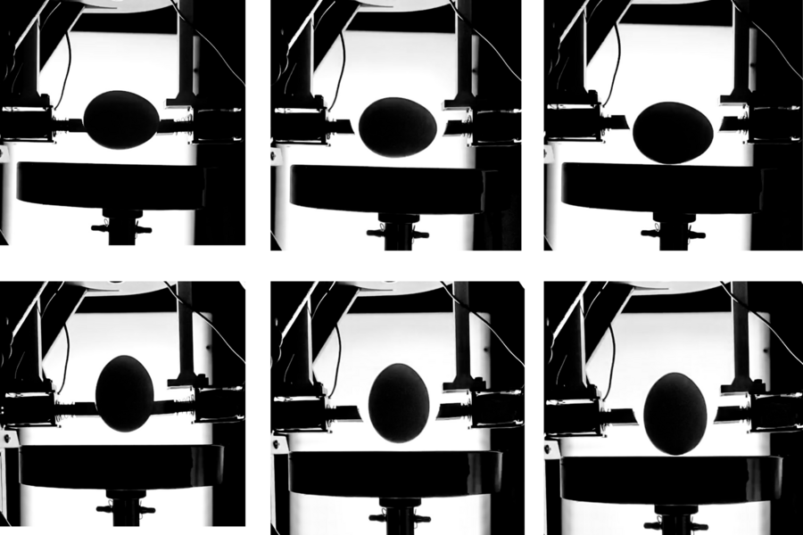 MIT Study Challenges Longstanding Misconception: Eggs Are Stronger on Their Sides