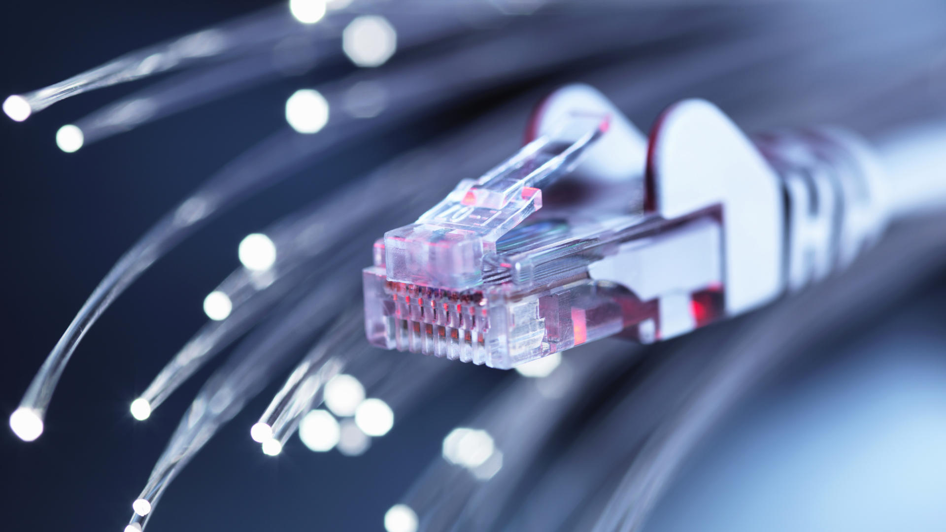 Japanese Researchers Break Internet Speed Record with New Fiber Technology