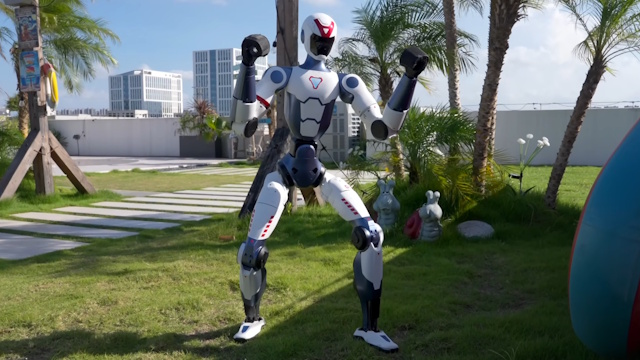 Affordable Humanoid Robot Could Be a Risky Purchase