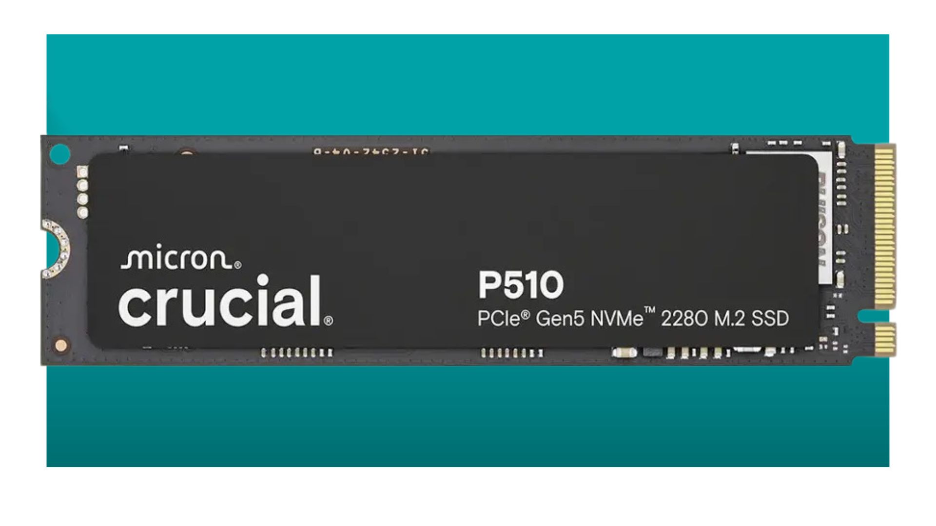 Discover Unparalleled Speed with Crucial's M.2 SSD at Unbeatable Prices