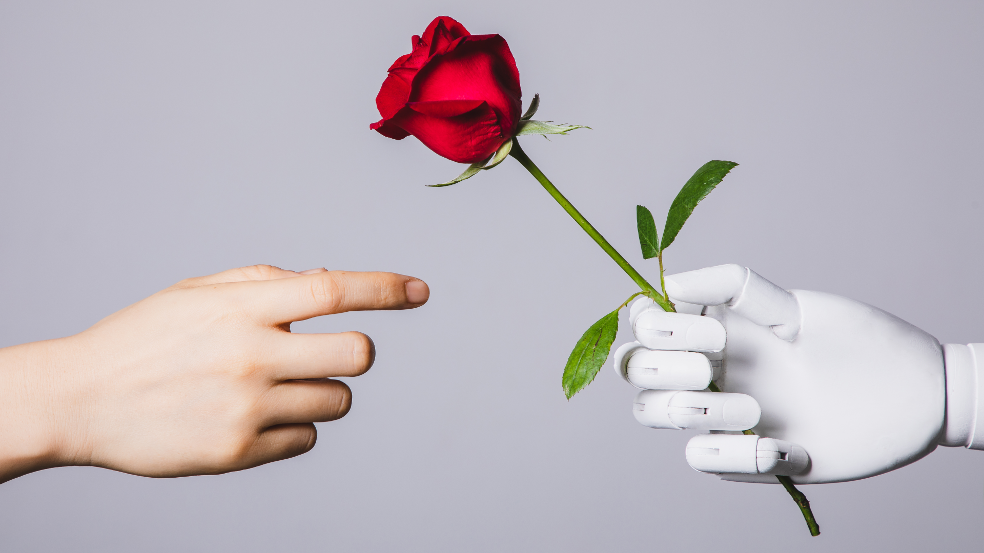 Study Shows Unexpected Emotional Attachments with AI Chatbots