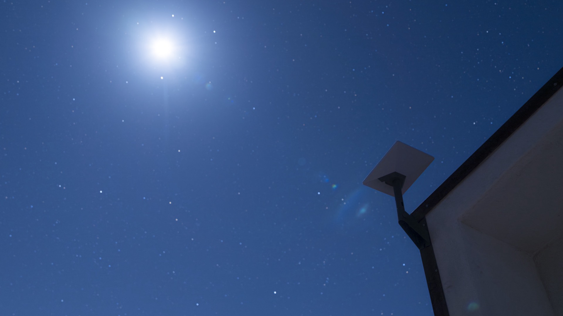 Don't Look Up: The Rising Fall of Starlink Satellites