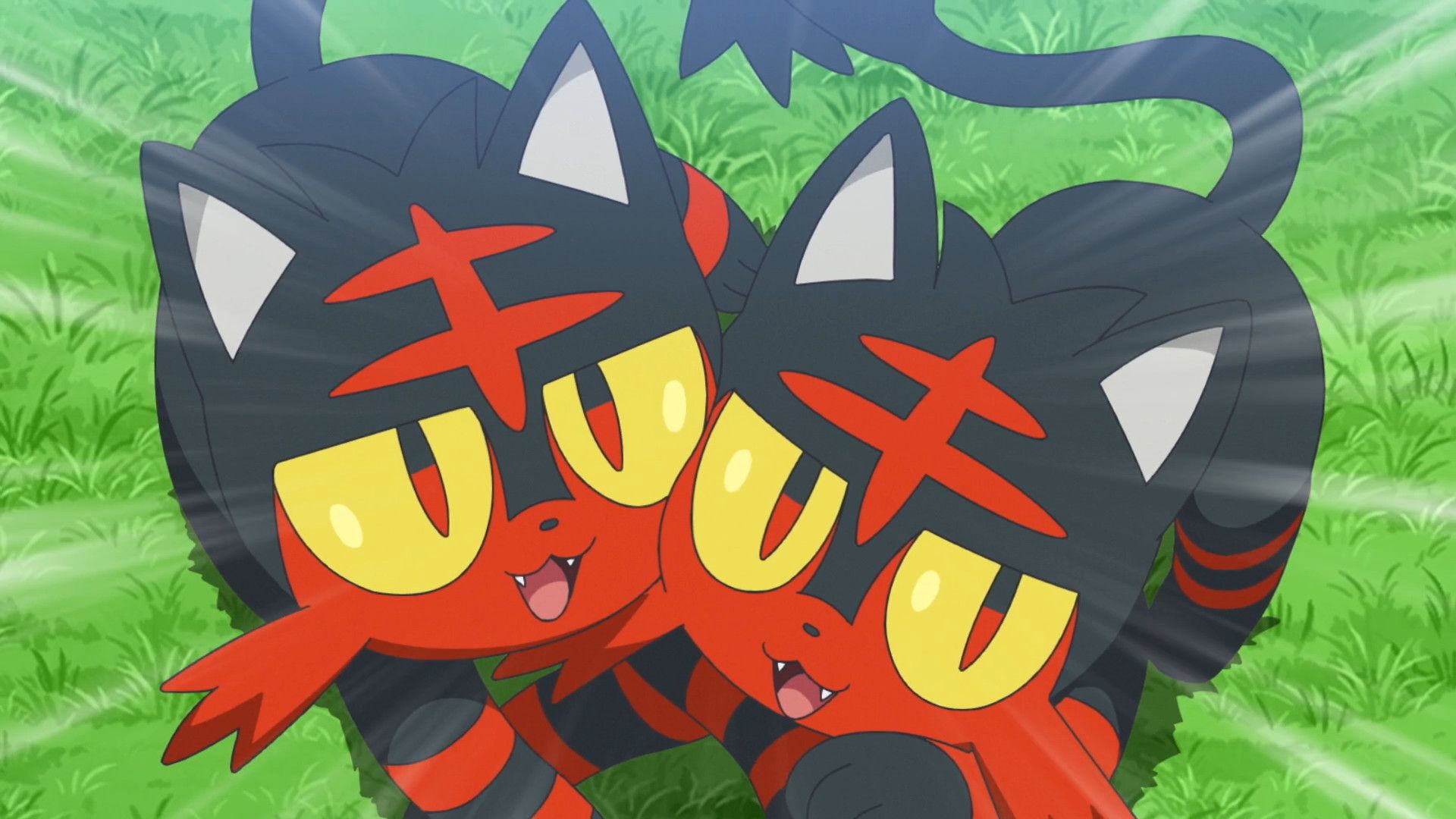 Build-a-Bear Unveils New Plushie Based on Litten from Pokémon